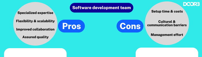Pros-&-cons-when-you-hire-a-dedicated-software-development-team-insights-from-DOOR3