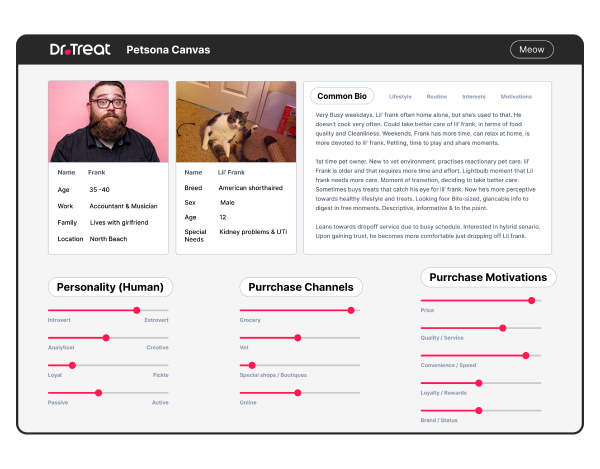  Realizing a startup’s vision through business analysis and user research 