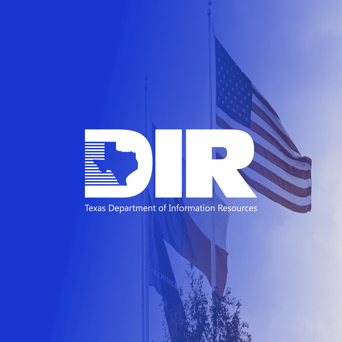  Texas DIR image 